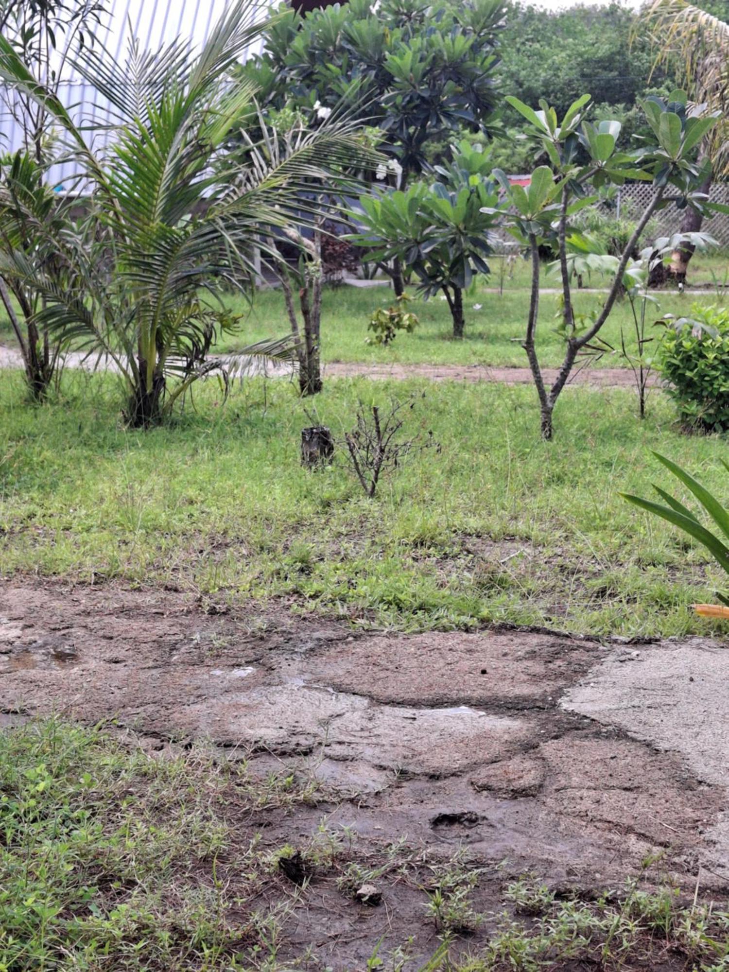 Cnunk Bungalow Ilhas Gili Exterior foto